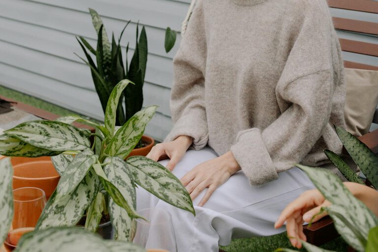 Tips for Creating a Relaxing Home Garden Space